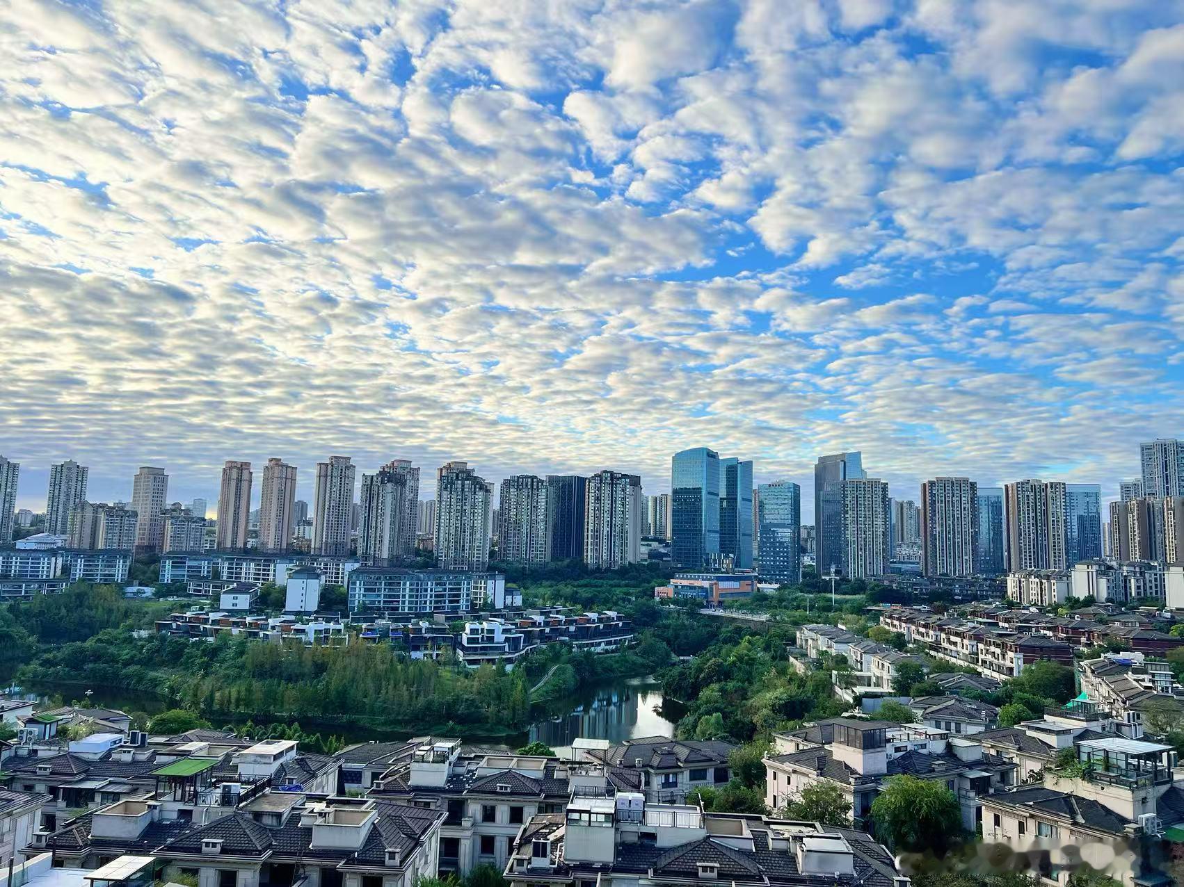 老婆发来的相片，今天重庆天气真好！  ​​​