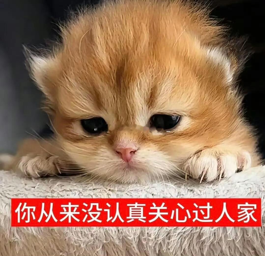 讨厌爱上了你 被否定我存在意义 