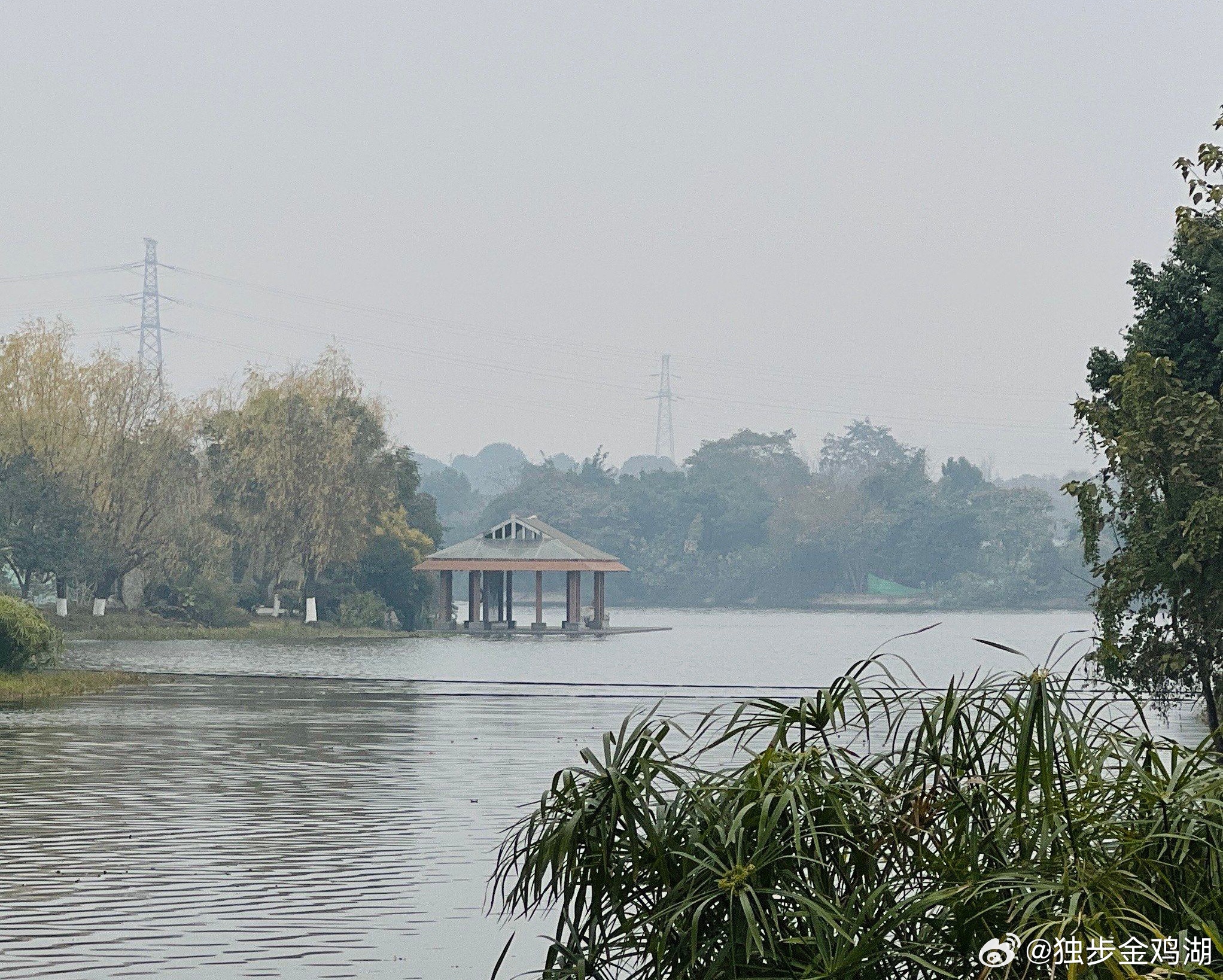 心里话         人生如茶，细品方知其味；看淡琐碎纷扰，心自得一方宁静天地