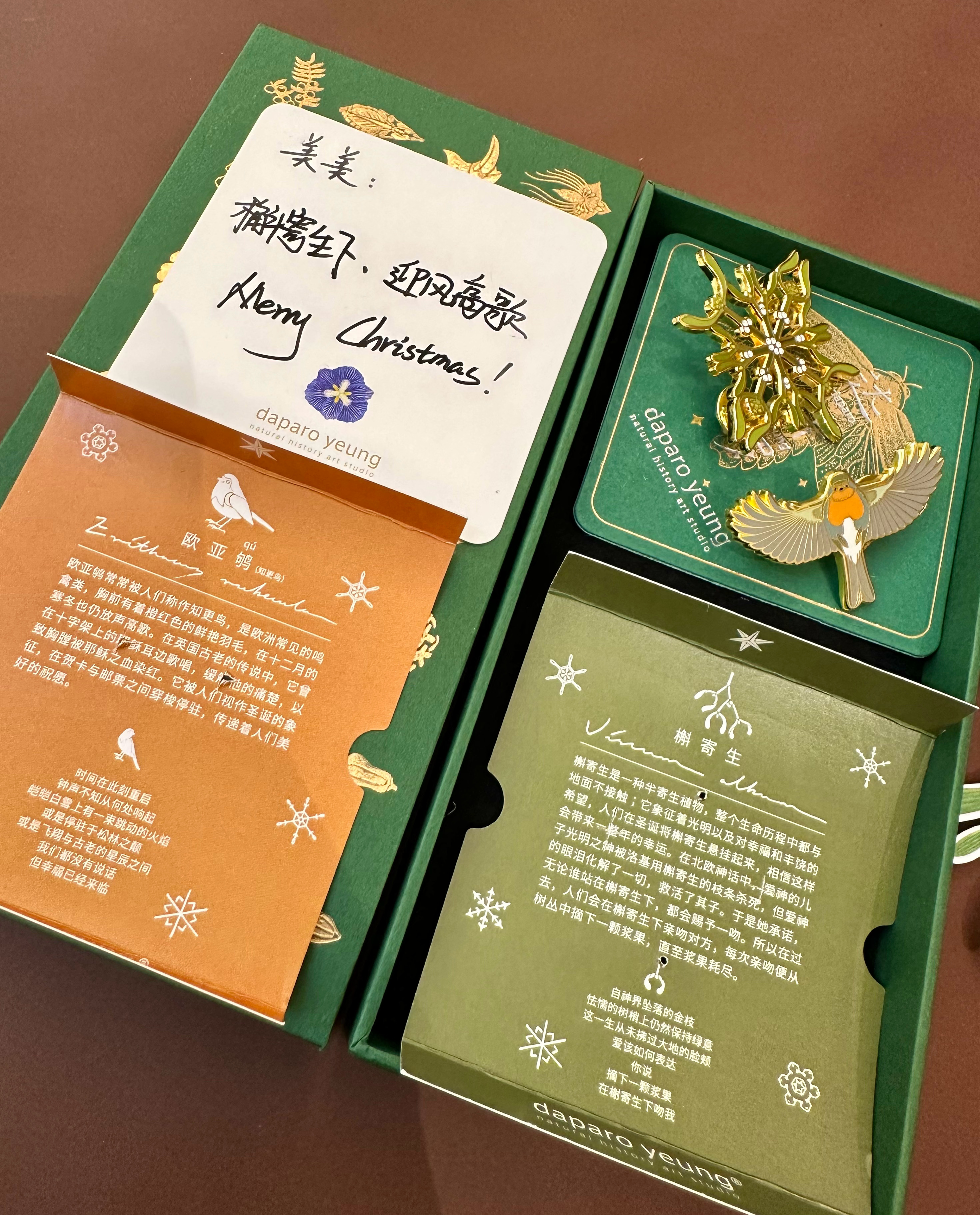 家的知更鸟🐦太漂亮了[开学季] ​​​