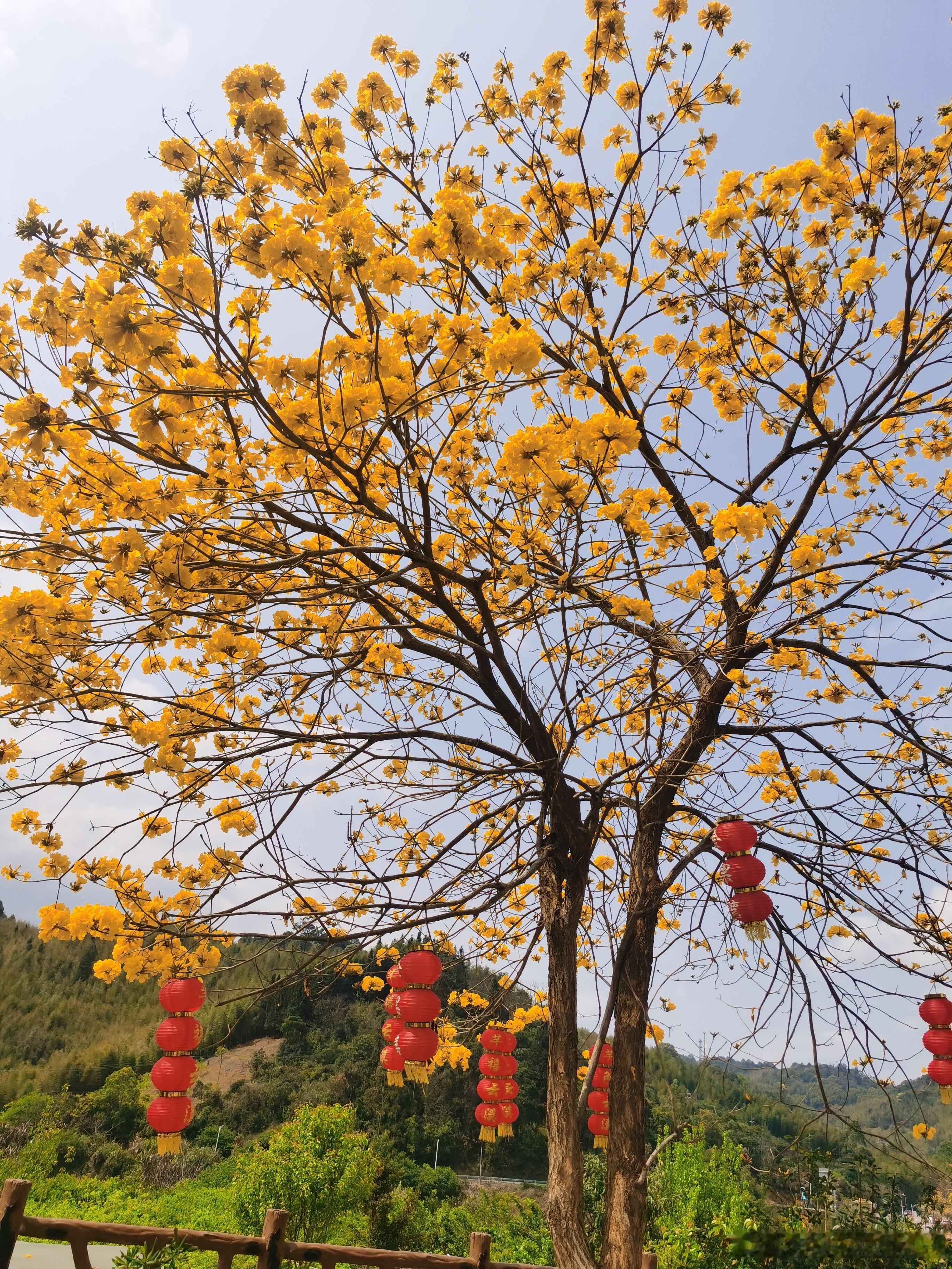 每日一善 ①☀️极好 764，🉑蹭  ，🈲快🧱②与极好的人hu动或🧱👍