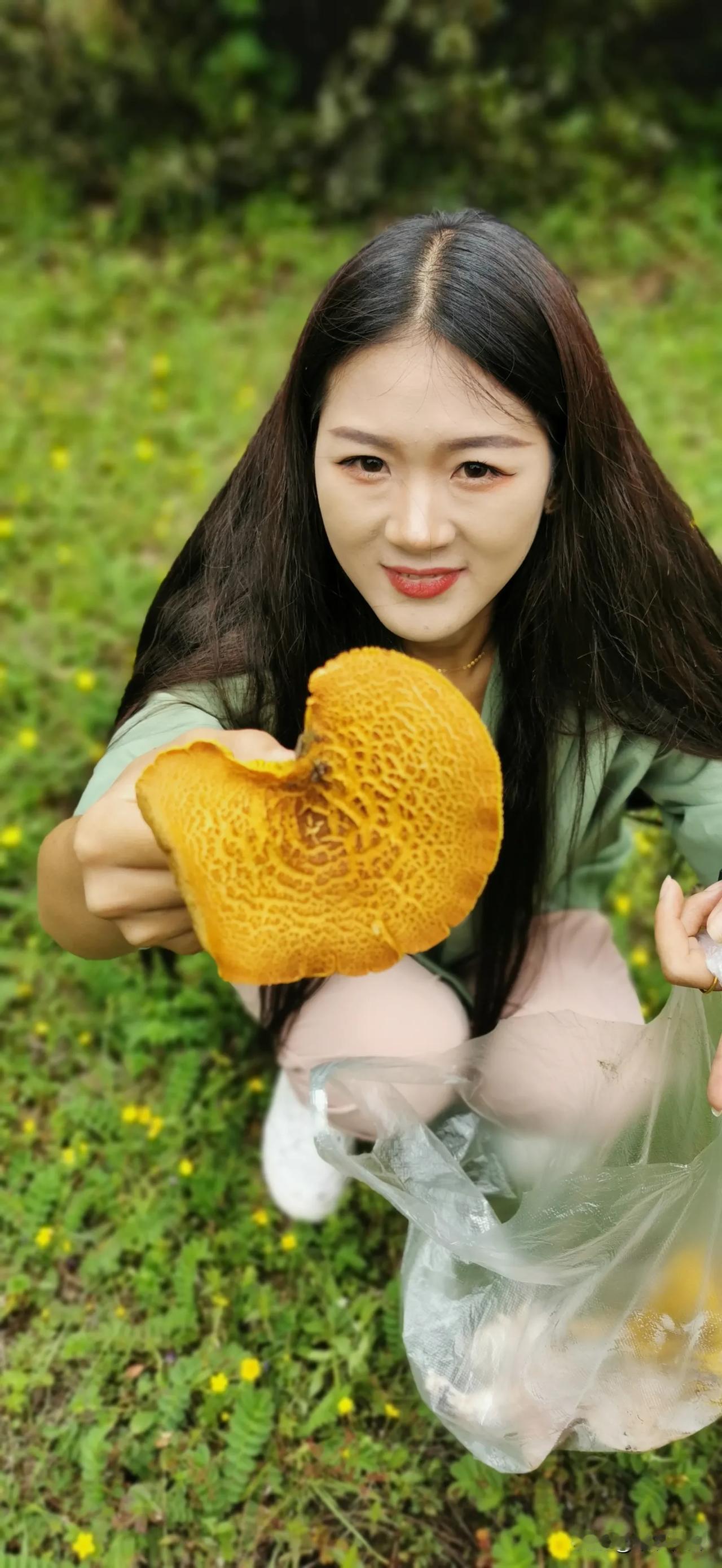 今天攀枝花下雨了，摘不了芒果，休息一天，去山上采蘑菇！

黄的，白的，红的，青的