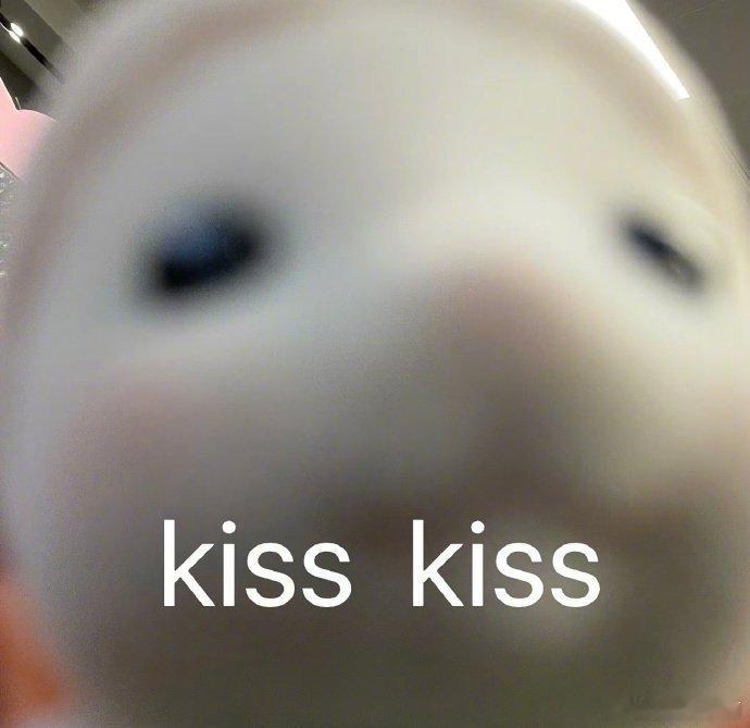 #今天追了什么剧# ​​​