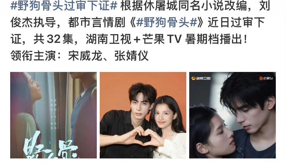 宋威龙和张婧仪的野狗骨头已经定了暑期档，你们会看吗，这剧能不能大爆？ 