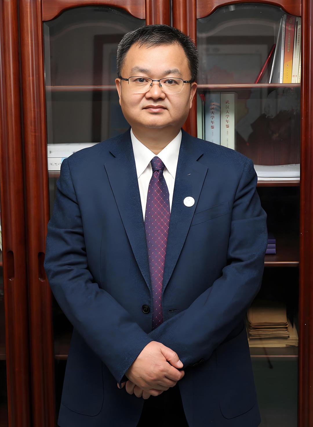 没想到武汉大学校长张平文是湖南长沙县人，和我是老乡，我特意搜了下他的简历，果然是
