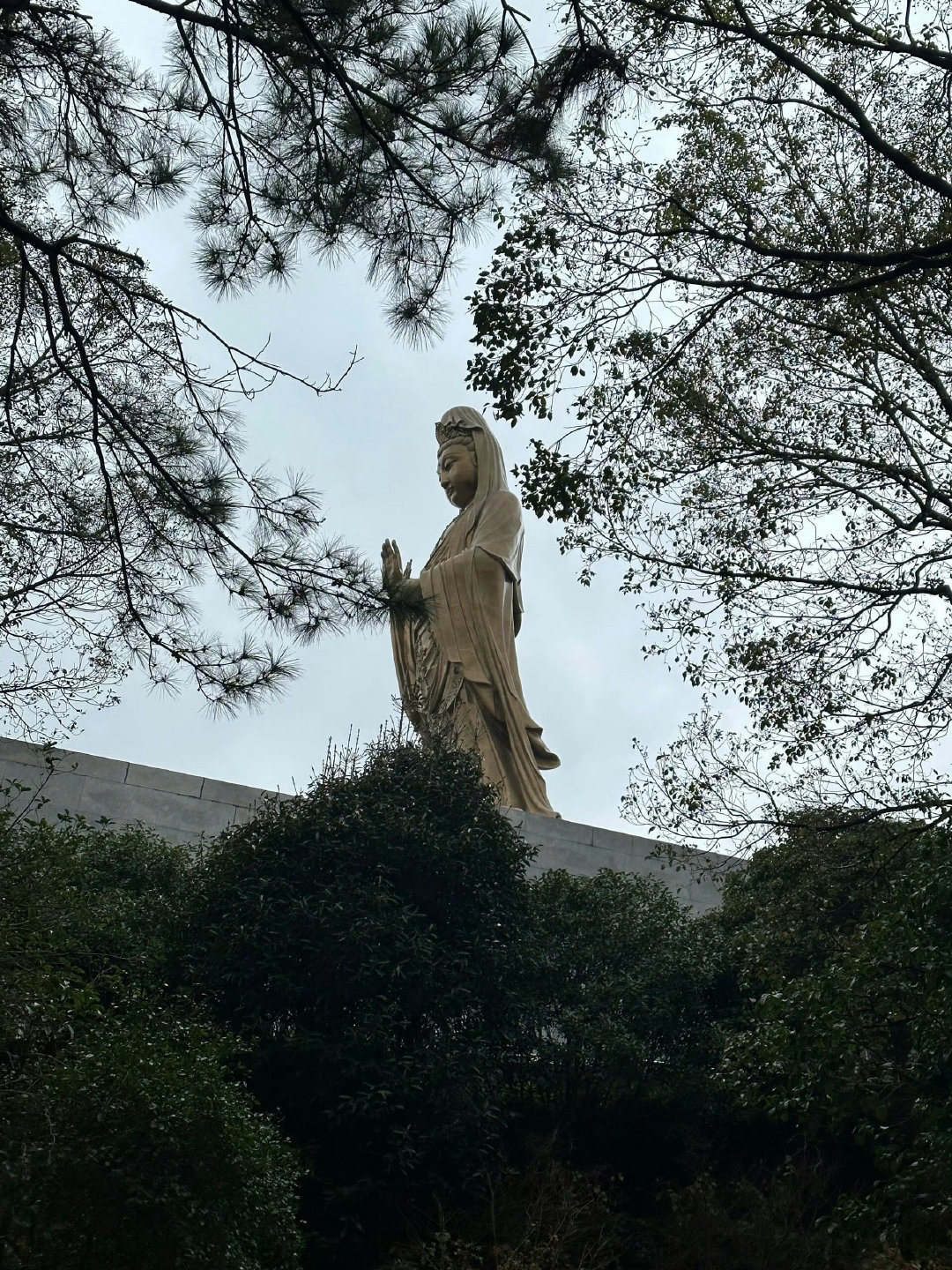 一切都是最好的安排，我们都会越来越好。 #新年祝福接龙# ​​​