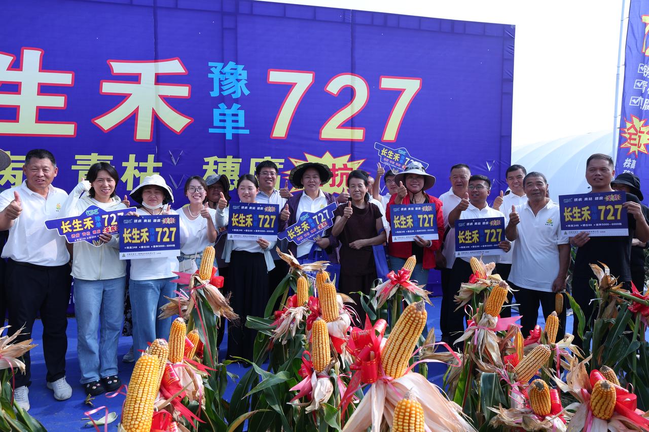盛夏相聚清丰，共鉴高产好种！长生禾豫单 727 观摩品鉴暨黄淮海市场启动会 7 