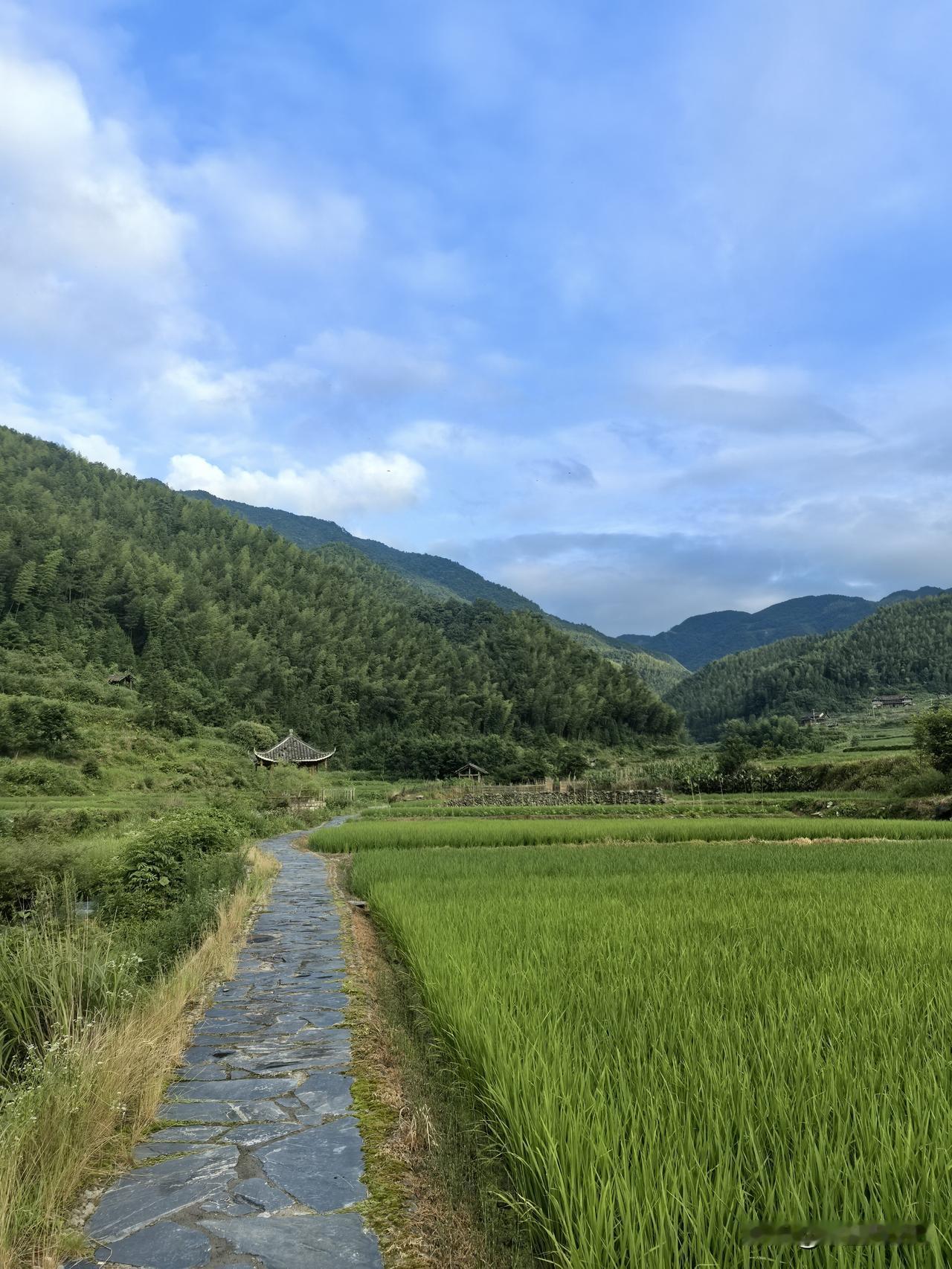 94岁老爸对我一生的影响较大。
他在我人生较重要的两个节点，给过我有效的帮助。