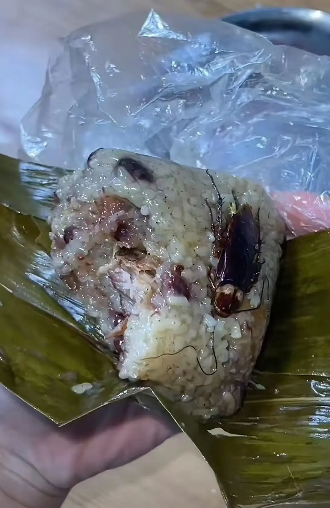 小强。粽子