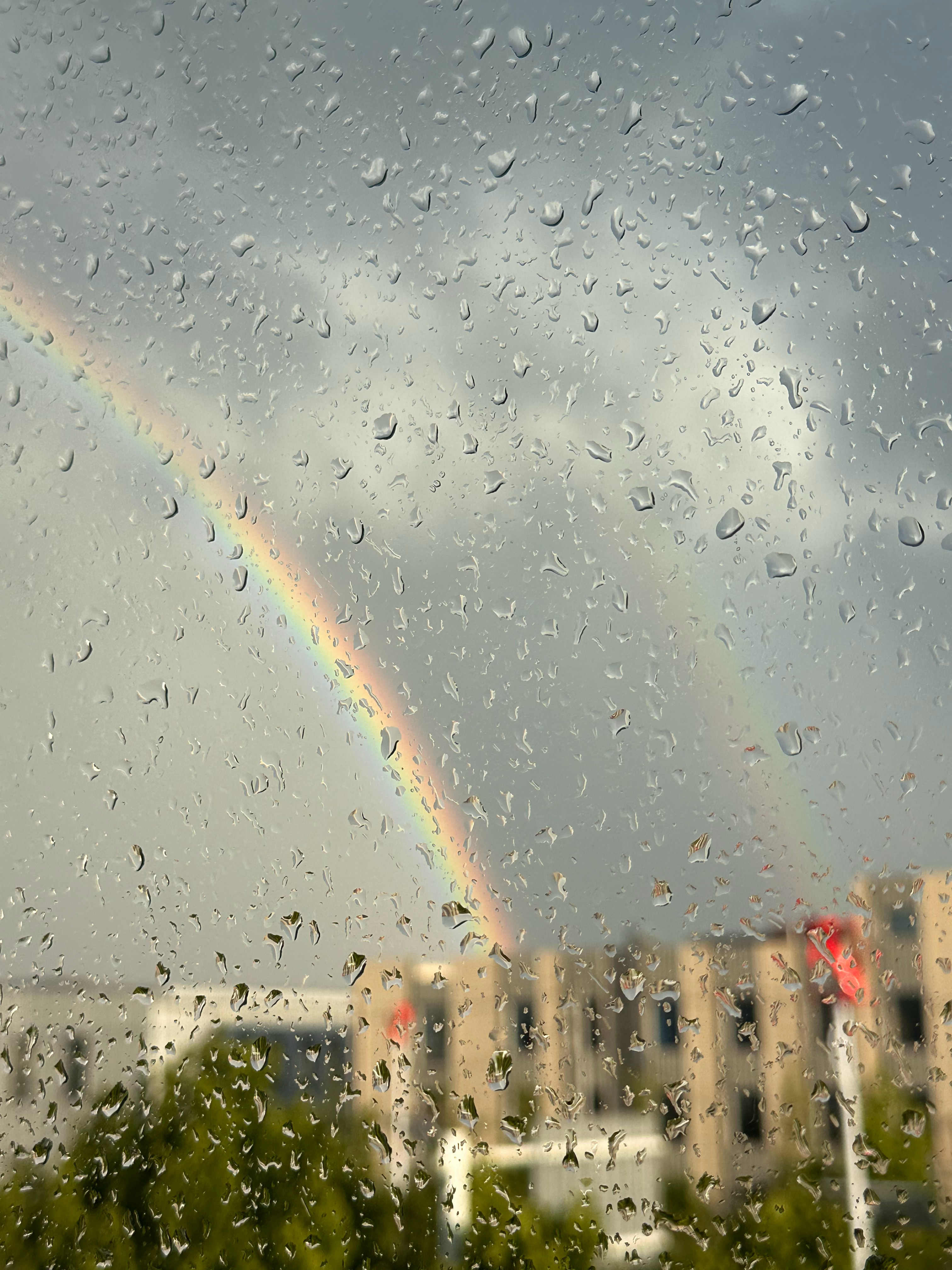 六月好运 🌈