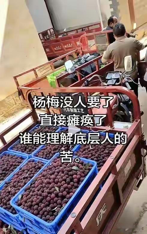 食品安全，不允许有容错率！
媒体发声：别让“一颗烂杨梅”，坏了一锅好汤！
这话听