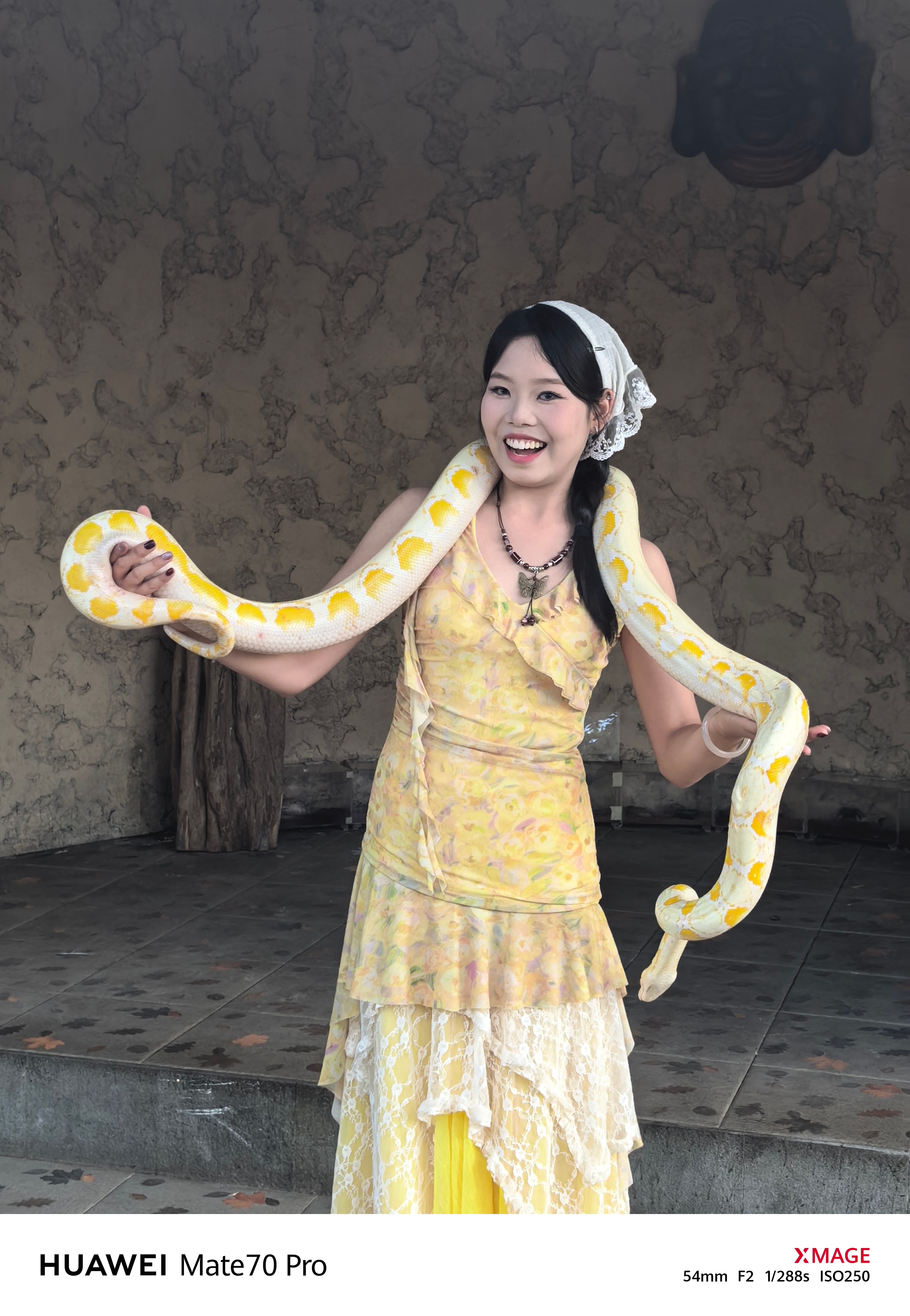 不敢玩，看看 ​​​