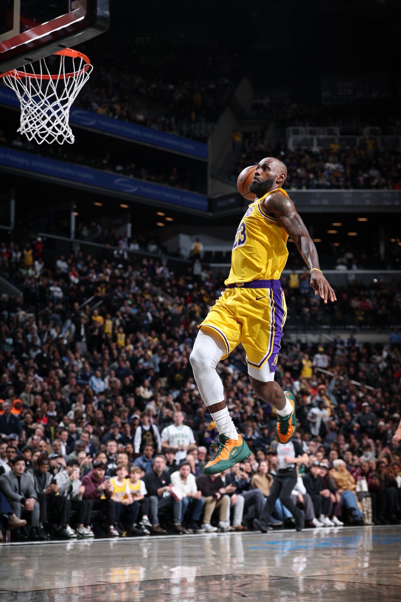 NBA LeBron James FREEHDNBA球鞋分享