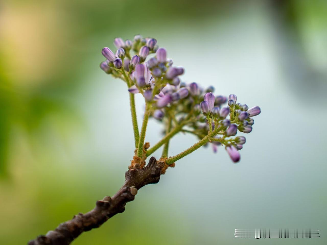 整天在朋友圈晒旅行的人
 是在炫耀吗？
当然是在炫耀啦！
但他们炫耀的
从来不是