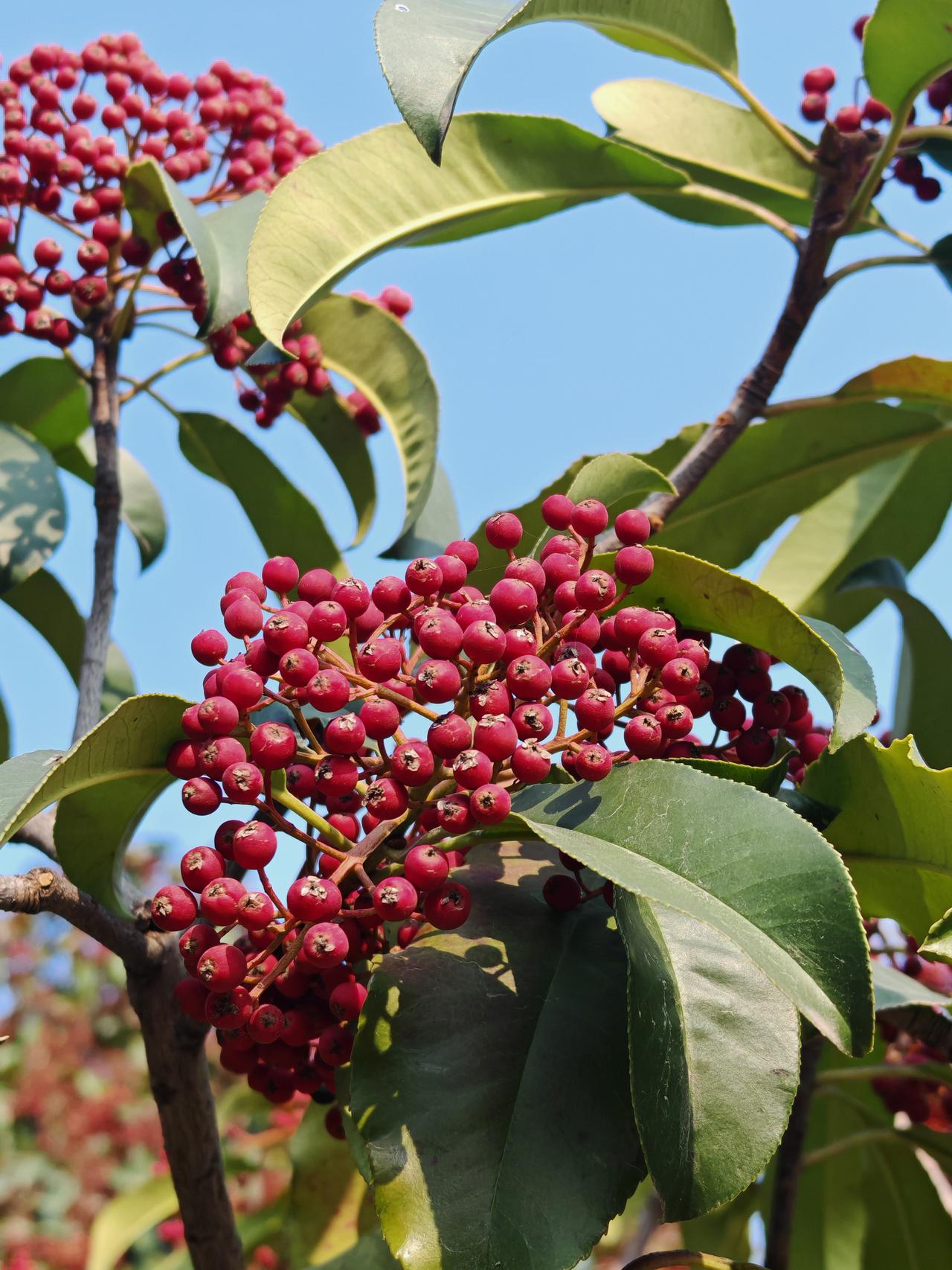 晒图笔记大赛冬日暖阳