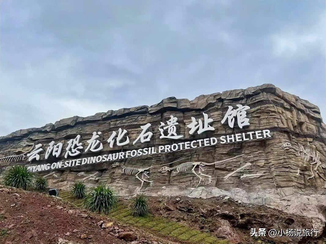 全世界只有重庆才有的8个景点，去过一半，人间值得，你去过几个？

1. 云阳恐龙