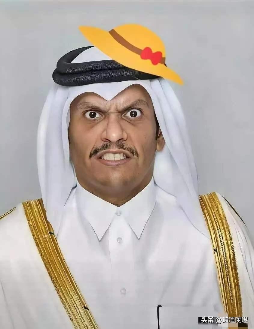 卡塔尔天然气公司首席执行官表示，他们在两年前斥资260亿美元建造的设施，如今却亏