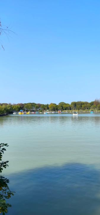 美国巨头重返委内瑞拉，全球能源格局要变天？
亲爱的朋友们大家好，我是海林小百科！