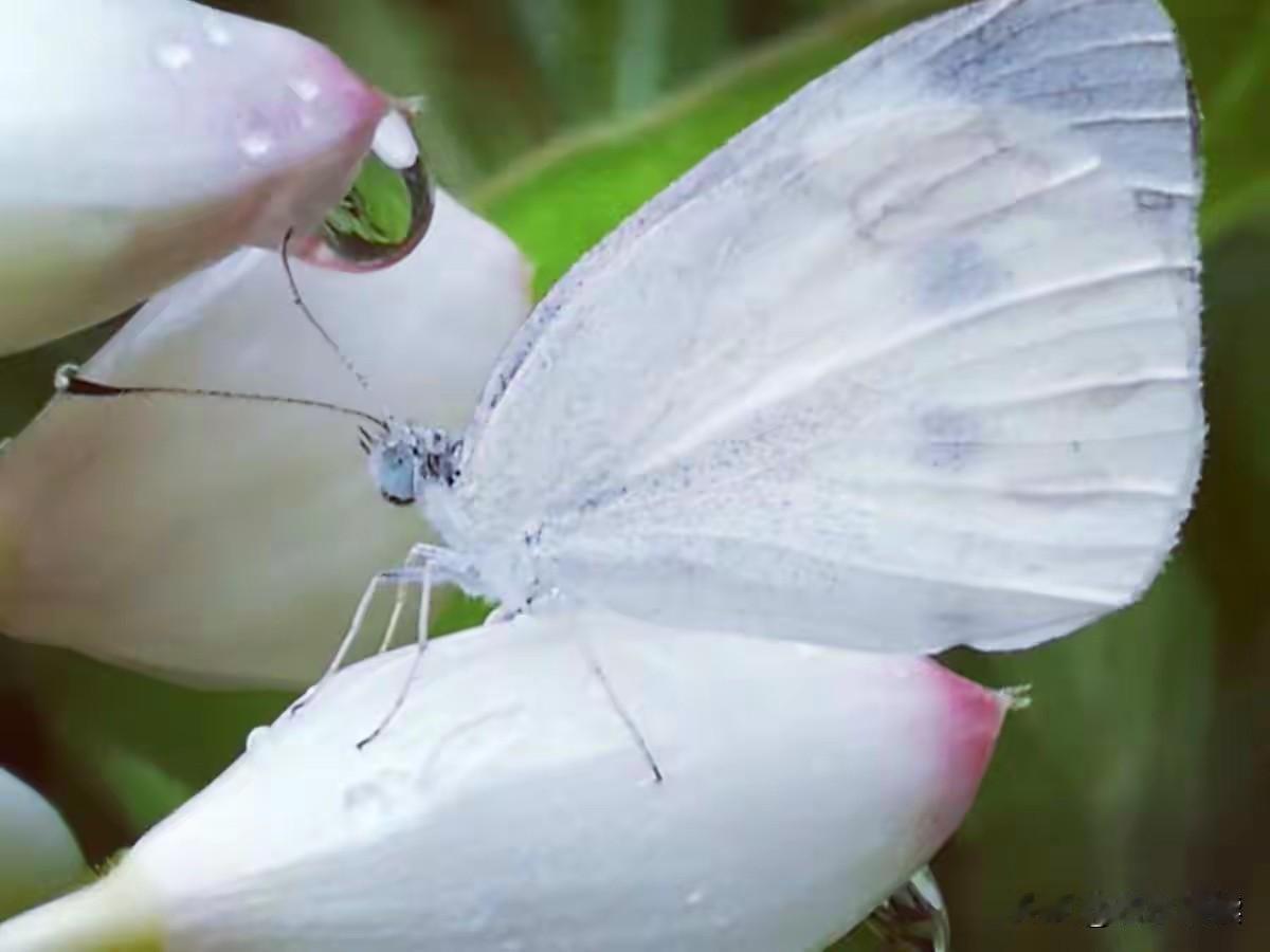 看到一句话特别治愈：
认真做好一件事，别停下。
世界很慢，但不瞎。
 
不用急着