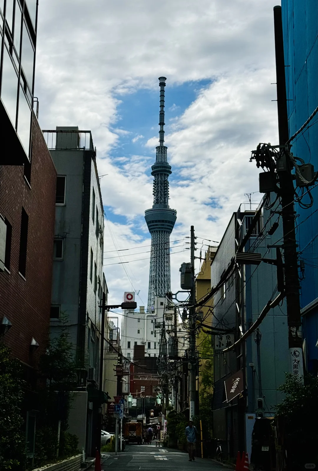 感觉处处是看柯南的记忆