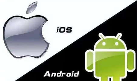 当然双持！！鱼和熊掌我都要得！安卓负责日常娱乐游戏啥的，苹果负责拍摄，苹果在拍摄