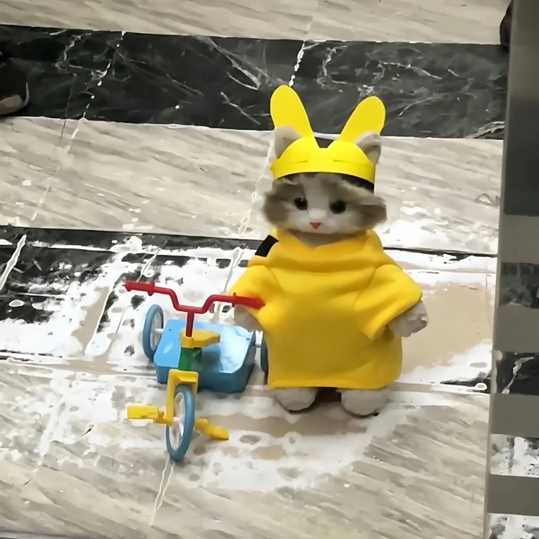 变装小猫₊⁺ʚ=･ ֊ ･=ɞ‧₊˚