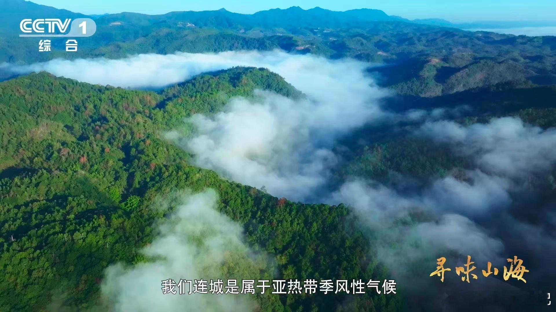 福建有种鸭越老越贵3招教你判断鸭子年龄 谁懂啊！买福建连城白鸭居然有这么实用的小