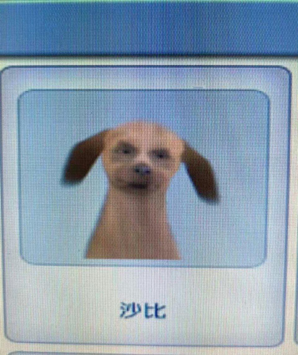 二次元丑狗 ​​​