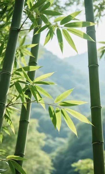 绿色，又近又远
📍成都