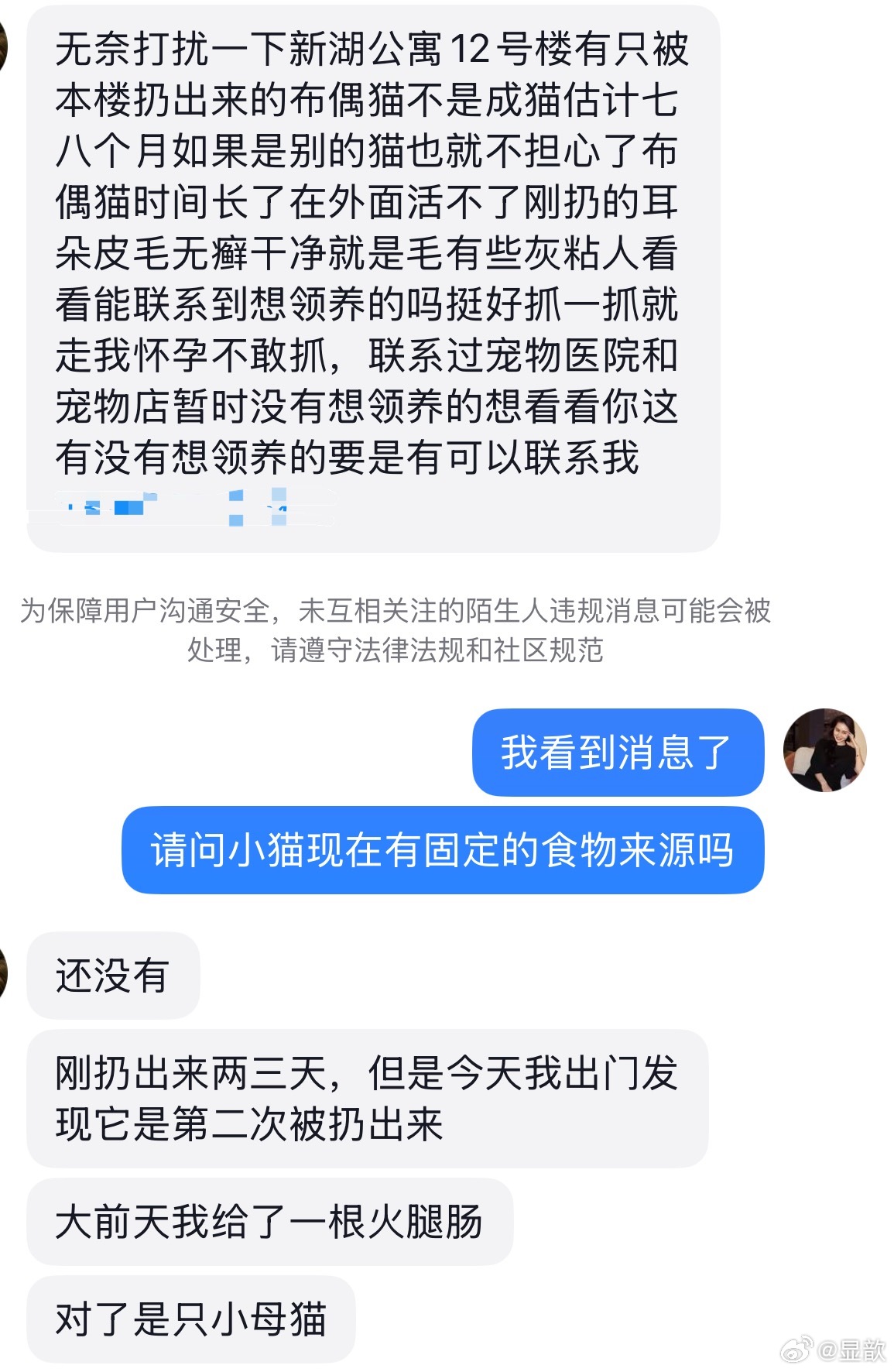 有没有人收养被遗弃的布偶猫呀？？？ ​​​
