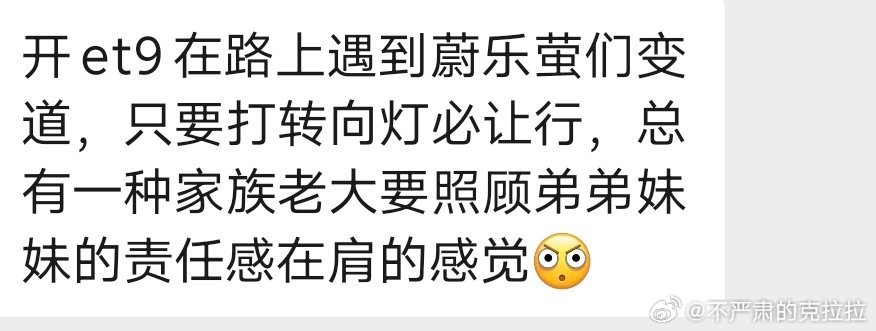 群里 ET9 车友发的锐评：素质还是太高了🤦♂️ 