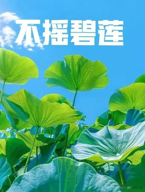 三姐找上门，张哥慌了，怎么办？

张哥是我前同事，今年46岁了，以前在宾西开发区