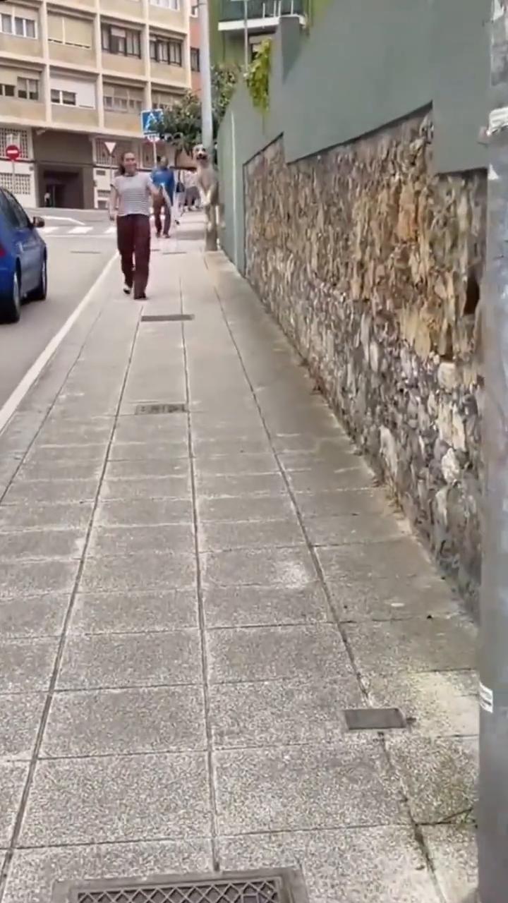 起。