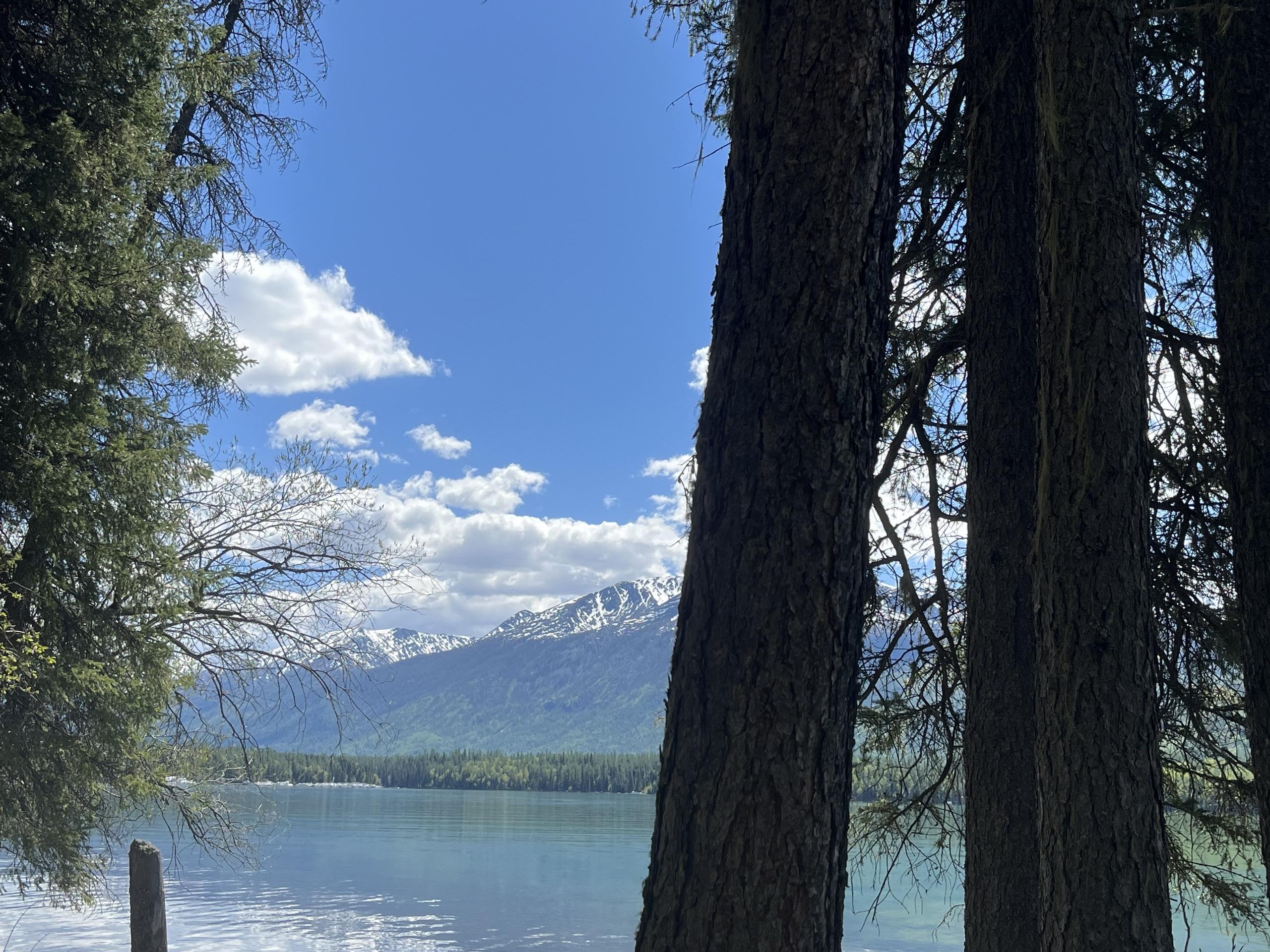 当你没有价值 你的父母和爱人都可能看不起你 甚至远离你  别人根本不在...