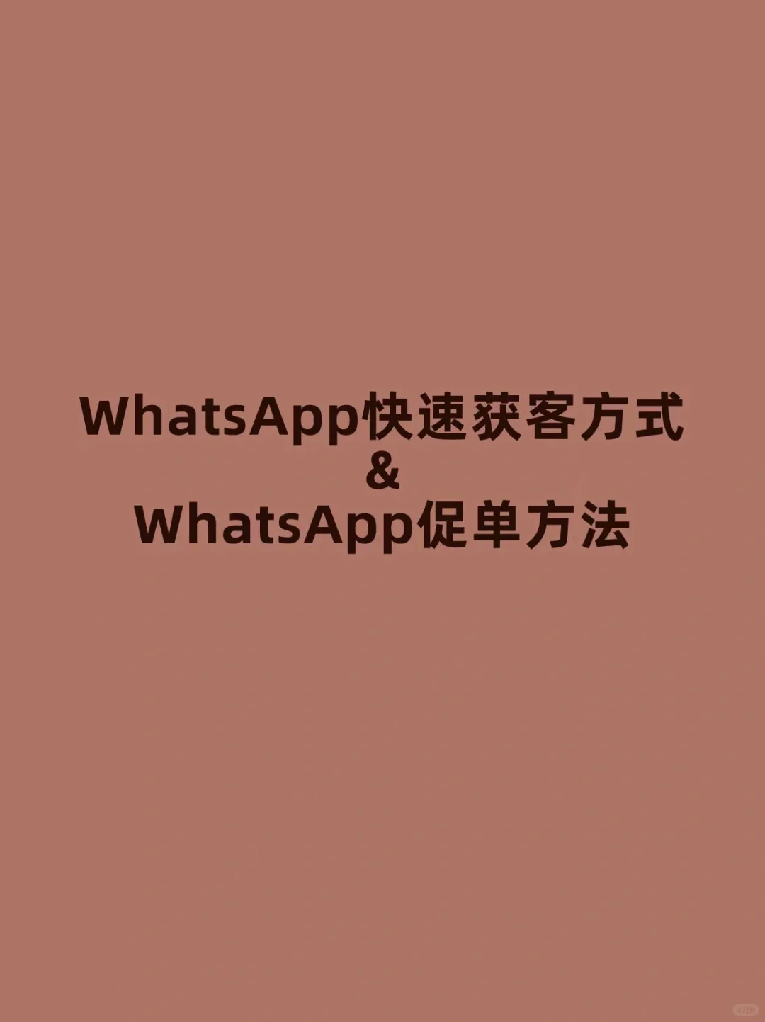 WhatsApp最全攻略！手把手教你获客、促单