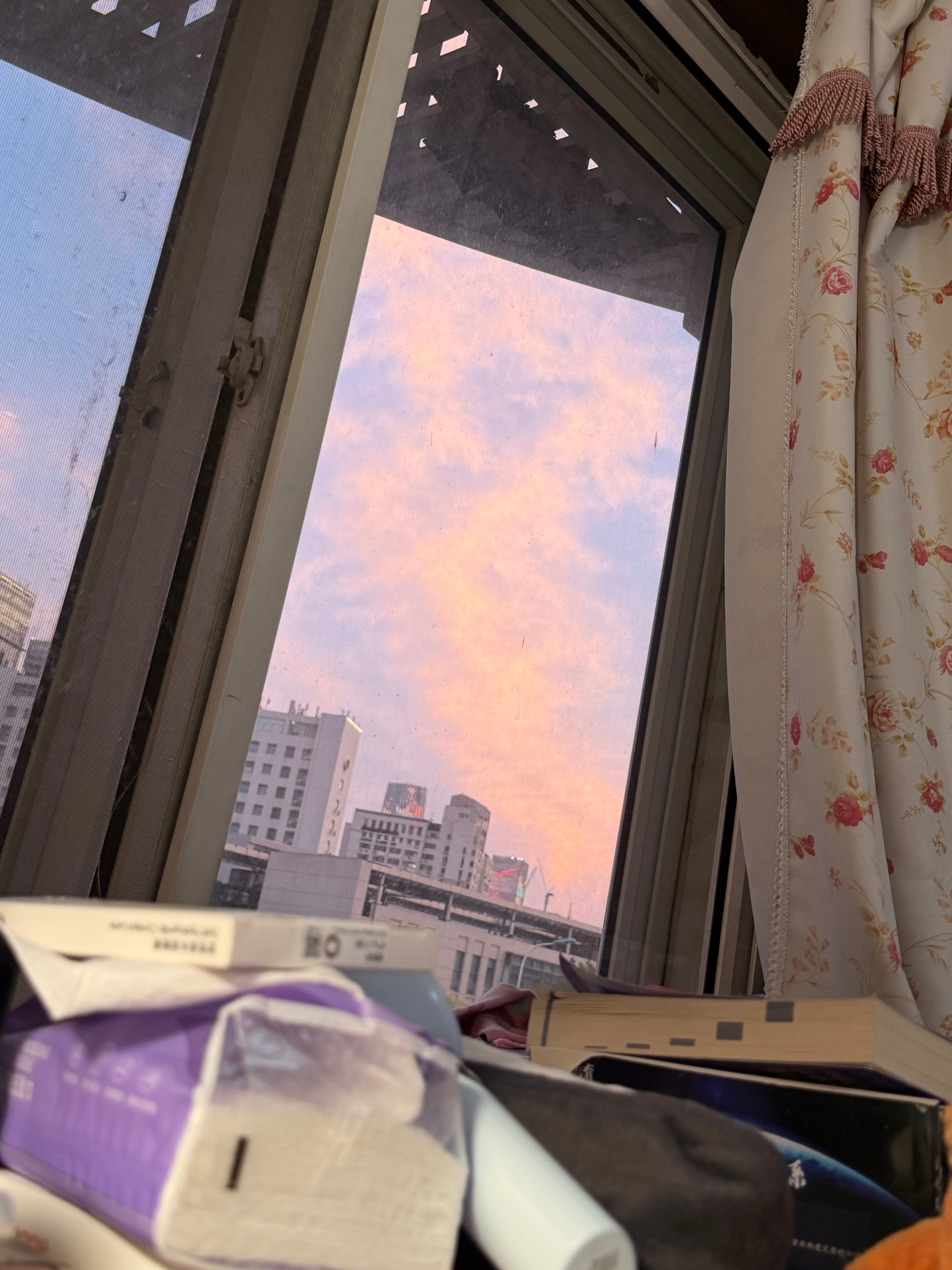 分享图片 
