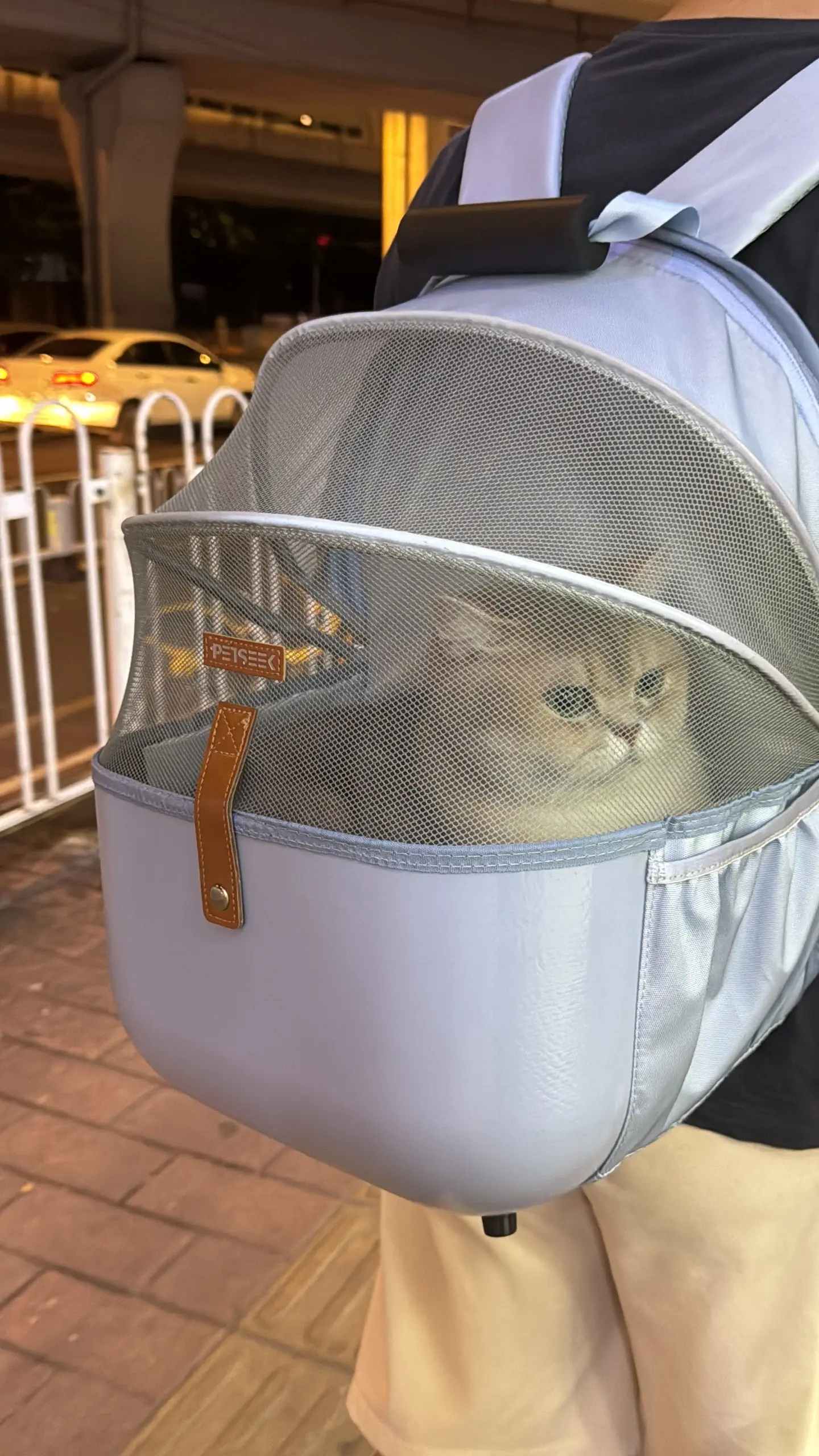 认真看图三，他不肯出猫包，后腿一直在里面撑着猫包，好可爱！