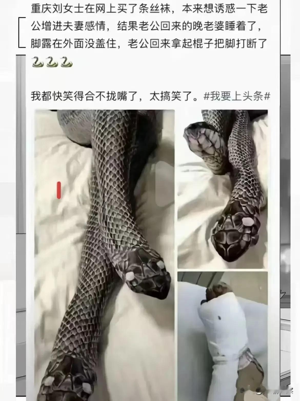 【演绎图文，切勿对号入座】
特立独行的丝袜…[泣不成声]