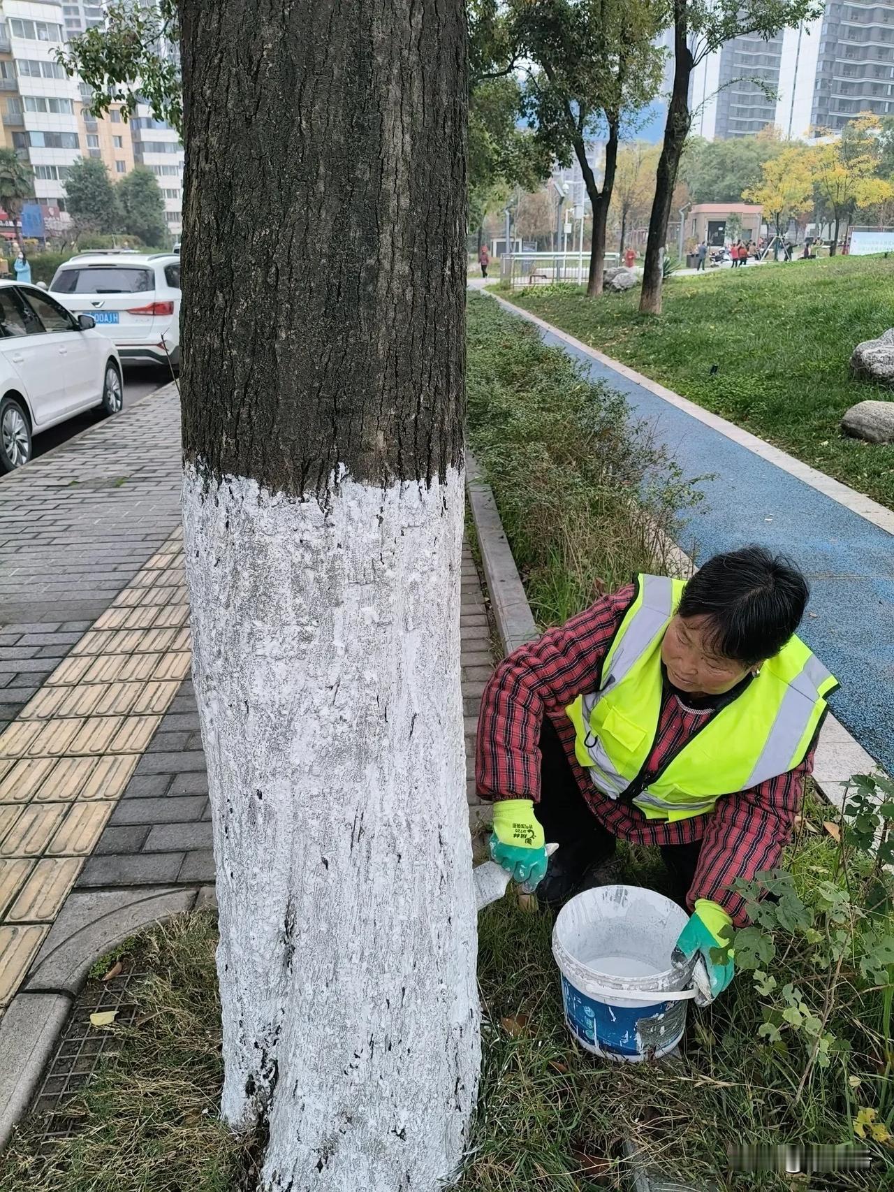 刷树，8小时80元。
​
​这个小区大门敞开着，进去转一圈。航空航天是西安的传统