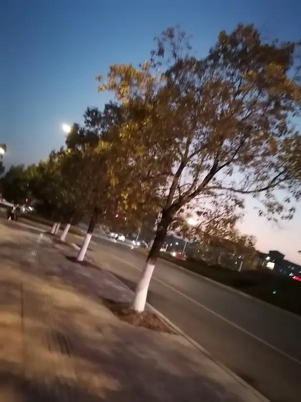 幸福就是喜欢做什么事就做什么，不喜欢做什么就不做什么。不刻意做为难自己的事情。但