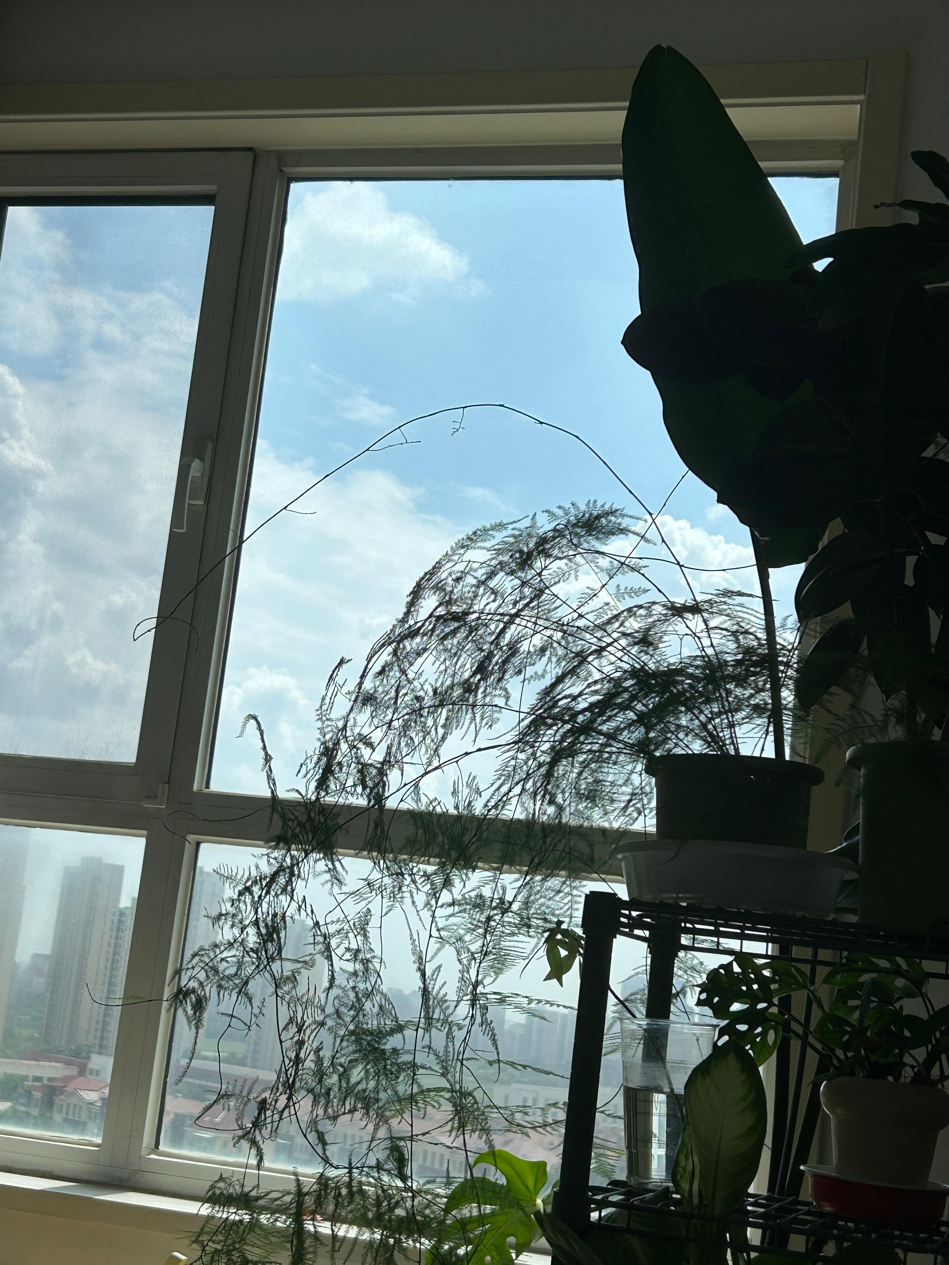 今天又是大晴天呀～ 