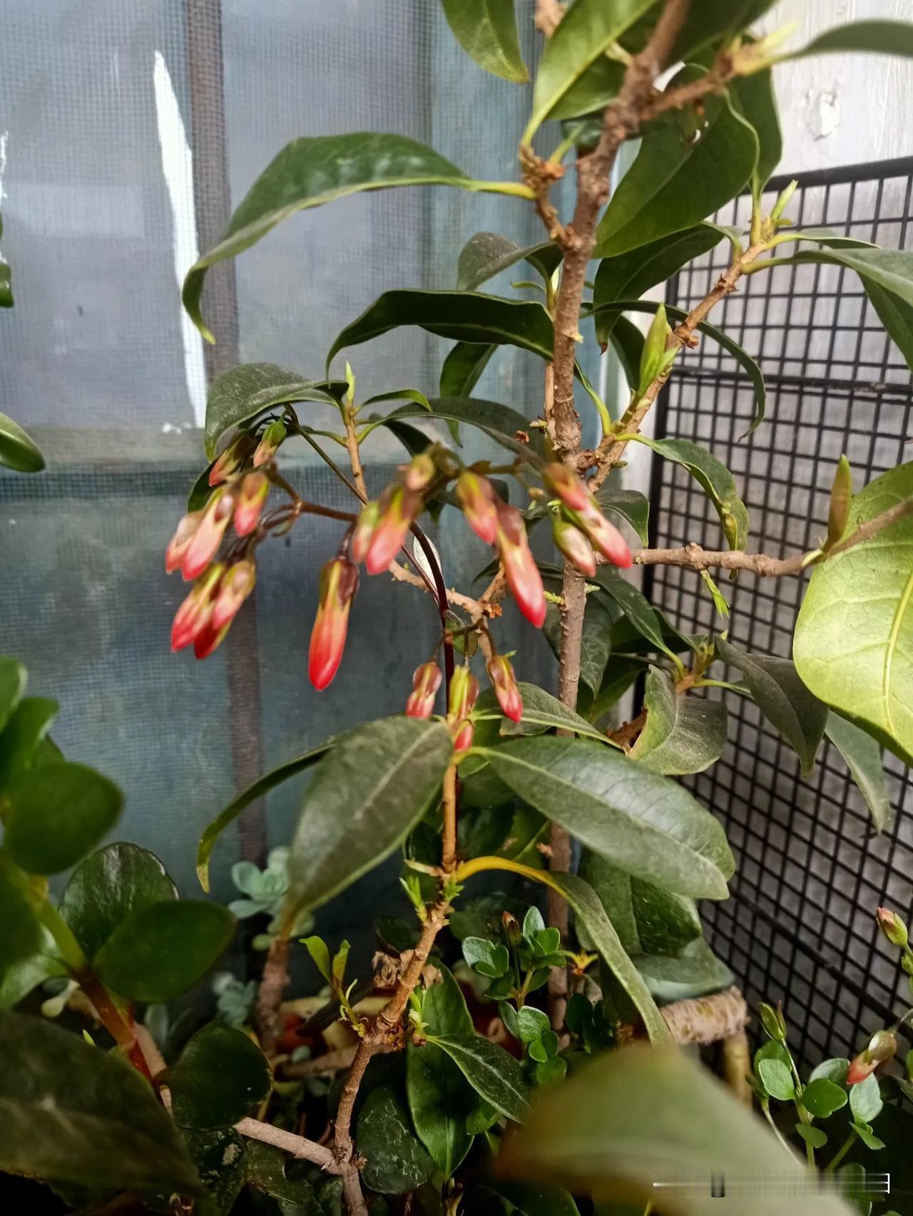 晒图笔记大赛含苞待放，花开在现！