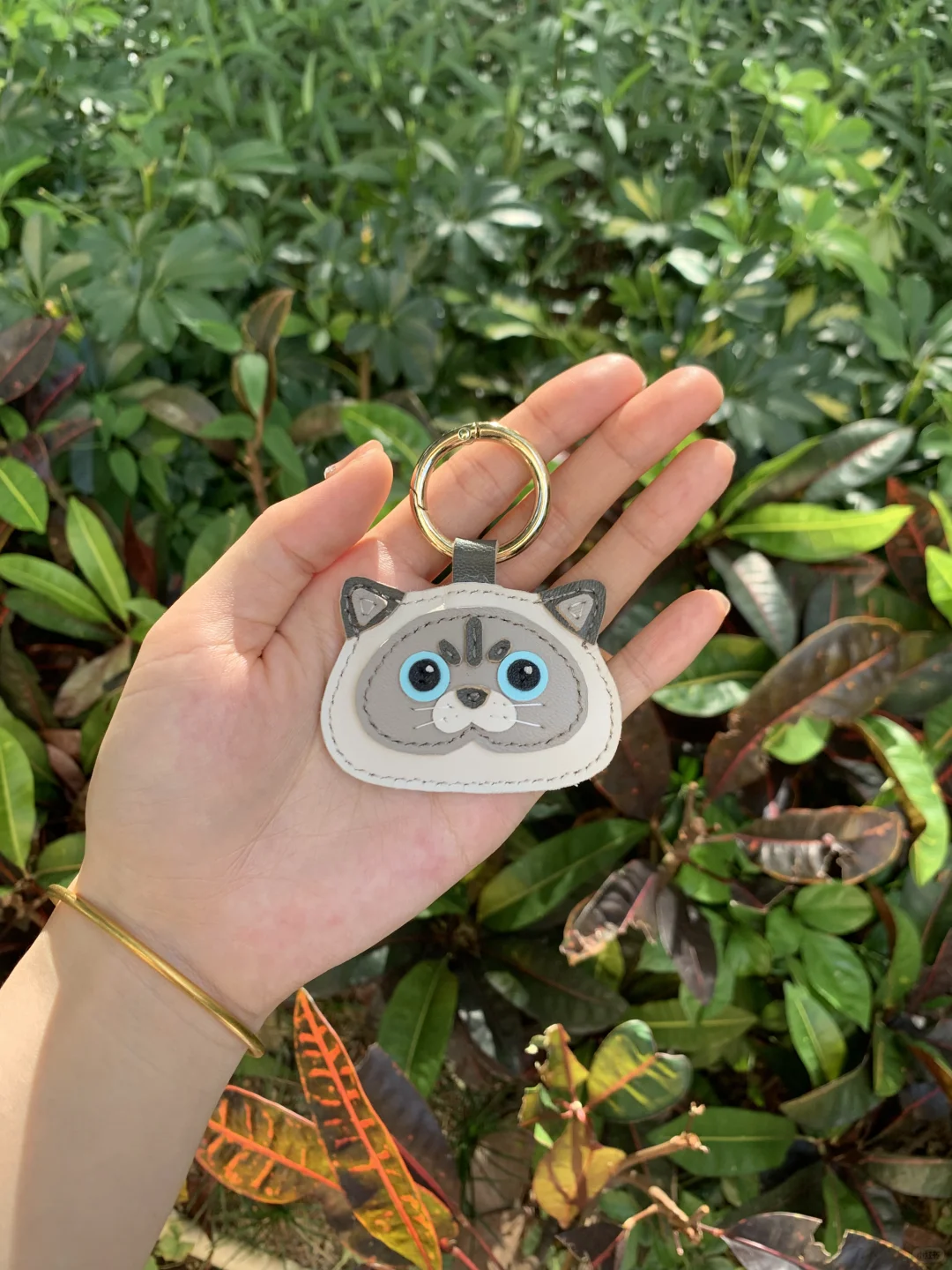 是谁拥有一堆小可爱！