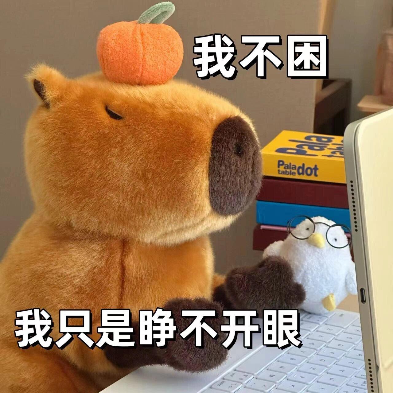没关系，能把眼睛睁开已经很厉害了[打工人][打工人]#不管什么物种上班都会困# 