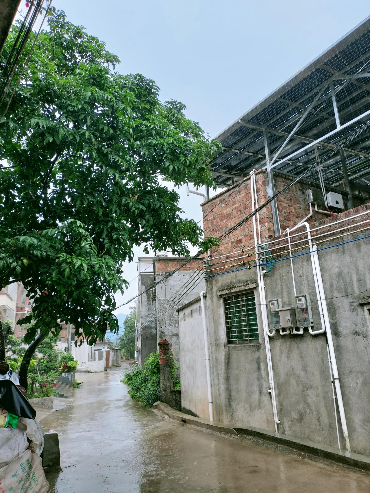 好久没有下雨了，从去年冬天到现在。大地滴水贵如油，今天下的真是及时雨啊！天天阴沉