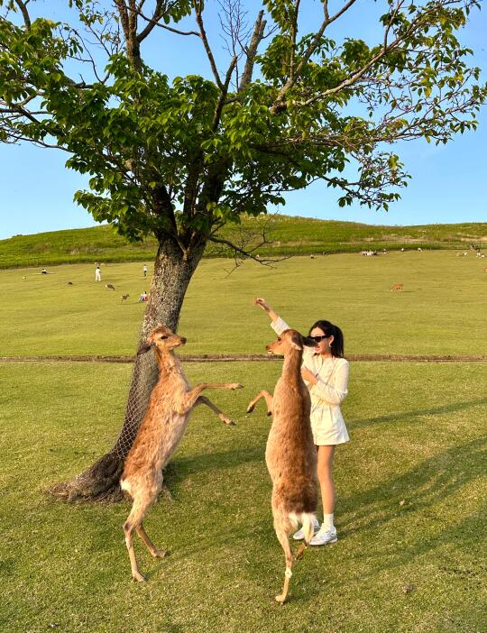 这辈子 有两只鹿为你拼过命吗🦌