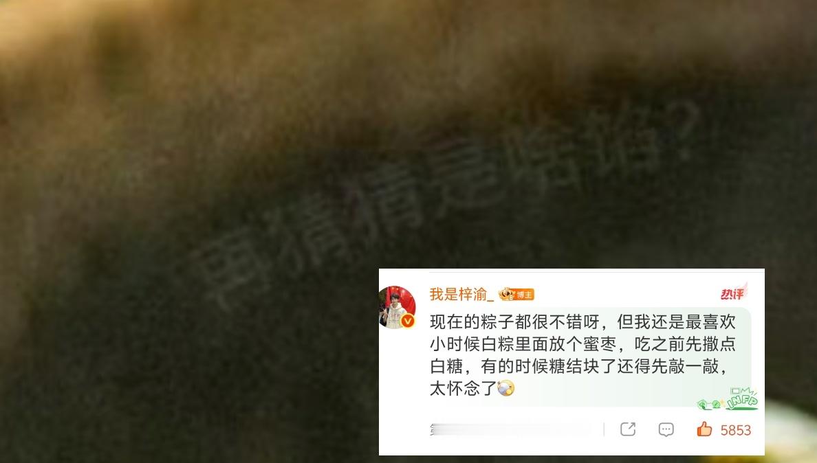 猜猜是啥馅儿，那我猜就是老妈说的馅儿