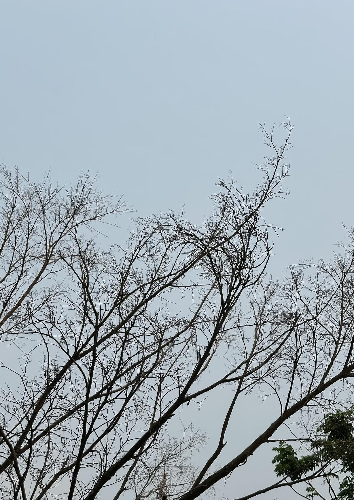 真的会被身边这种优秀的人狠狠治愈✨
大学里有位同学，成绩好、会社交、还特别自律，