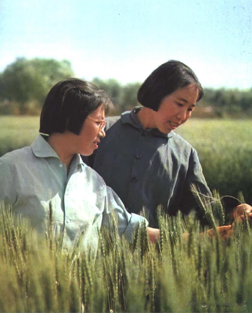 在农村扎根的知识青年邢燕子和侯隽（左）。