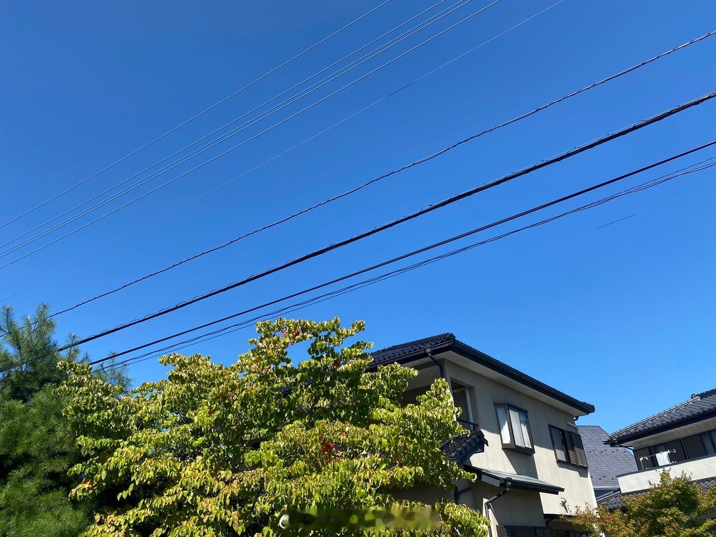 枣太多了根本没人吃 ​​​